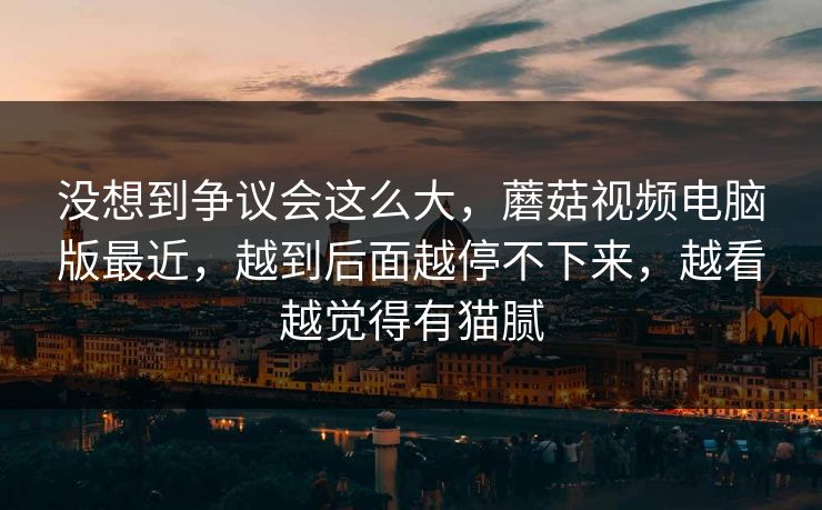 没想到争议会这么大，蘑菇视频电脑版最近，越到后面越停不下来，越看越觉得有猫腻  第1张