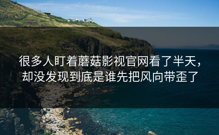 很多人盯着蘑菇影视官网看了半天，却没发现到底是谁先把风向带歪了  第1张