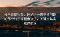 关于蘑菇视频，评论区一直不肯明说的部分终于被翻出来了，关键点其实藏得很深