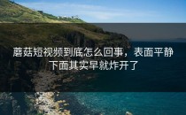 蘑菇短视频到底怎么回事，表面平静下面其实早就炸开了
