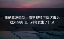 我是真没想到，蘑菇视频下载这事后劲大得离谱，到底发生了什么