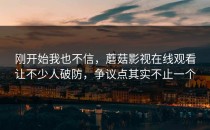 刚开始我也不信，蘑菇影视在线观看让不少人破防，争议点其实不止一个