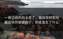 一夜之间风向全变了，蘑菇视频官网最近突然被聊疯了，到底发生了什么