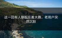 这一回有人聊起<strong>反差大赛</strong>，老用户突然沉默