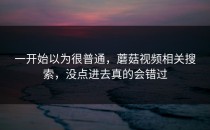 一开始以为很普通，蘑菇视频相关搜索，没点进去真的会错过