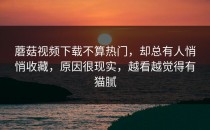 蘑菇视频下载不算热门，却总有人悄悄收藏，原因很现实，越看越觉得有猫腻
