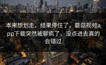 本来想划走，结果停住了，蘑菇视频app下载突然被聊疯了，没点进去真的会错过