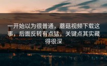 一开始以为很普通，蘑菇视频下载这事，后面反转有点猛，关键点其实藏得很深