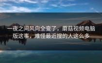 一夜之间风向全变了，蘑菇视频电脑版这事，难怪最近搜的人这么多
