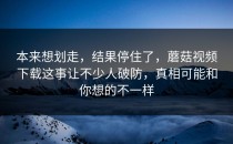 本来想划走，结果停住了，蘑菇视频下载这事让不少人破防，真相可能和你想的不一样