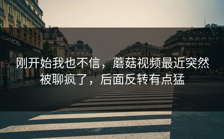 刚开始我也不信，蘑菇视频最近突然被聊疯了，后面反转有点猛