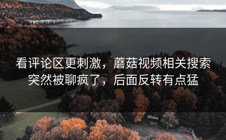 看评论区更刺激，蘑菇视频相关搜索突然被聊疯了，后面反转有点猛  第1张