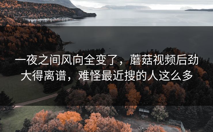 一夜之间风向全变了，蘑菇视频后劲大得离谱，难怪最近搜的人这么多  第1张