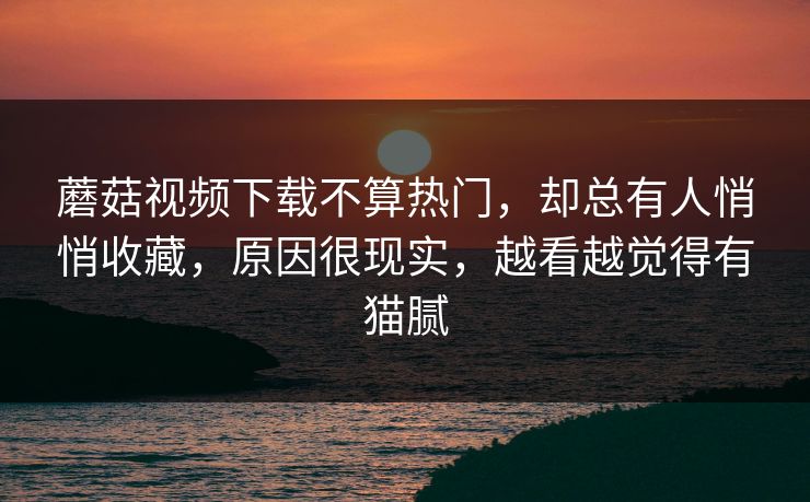 蘑菇视频下载不算热门，却总有人悄悄收藏，原因很现实，越看越觉得有猫腻