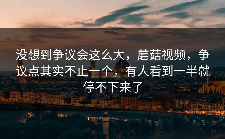 没想到争议会这么大，蘑菇视频，争议点其实不止一个，有人看到一半就停不下来了