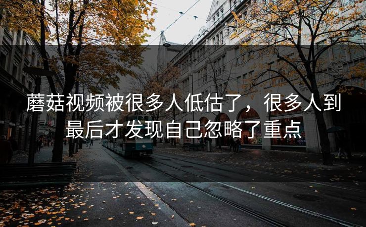 蘑菇视频被很多人低估了,很多人到最后才发现自己忽略了重点 第1张 蘑菇视频被很多人低估了,很多人到最后才发现自己忽略了重点 第1张