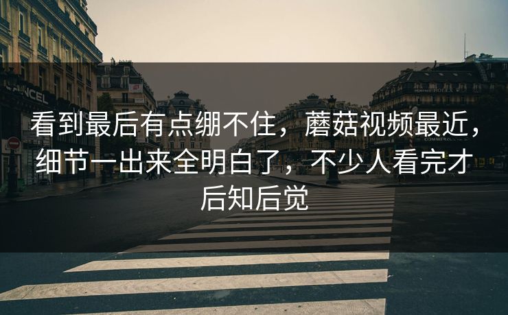 看到最后有点绷不住,蘑菇视频最近,细节一出来全明白了,不少人看完才后知后觉 第1张 看到最后有点绷不住,蘑菇视频最近,细节一出来全明白了,不少人看完才后知后觉 第1张