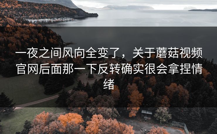 一夜之间风向全变了,关于蘑菇视频官网后面那一下反转确实很会拿捏情绪 第1张 一夜之间风向全变了,关于蘑菇视频官网后面那一下反转确实很会拿捏情绪 第1张