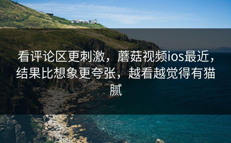看评论区更刺激,蘑菇视频ios最近,结果比想象更夸张,越看越觉得有猫腻 第1张 看评论区更刺激,蘑菇视频ios最近,结果比想象更夸张,越看越觉得有猫腻 第1张